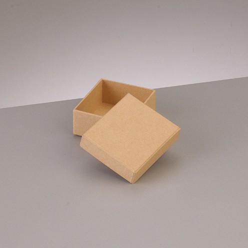 Box Rechteck, flach, 6,5 x 5,5 x H 2,7 cm